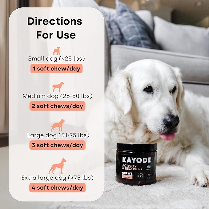 Joint &amp; Recovery | 2-in-1 Joint &amp; Muscle Chews. Help Reduce Pain &amp; Increase Daily Activity. Helps with Arthritis and Pain Prevention. Tasty Trout Flavor.