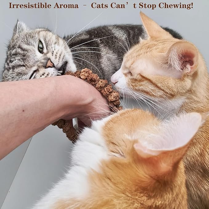 Natural Silvervine Gall Fruit Cat-Attracting Bracelet,Interactive Cat Toy for Indoor Cats,Cat Chew Toy with Gallfruit | Catnip &amp; Silvervine Alternative, Stress Relief &amp; Gift