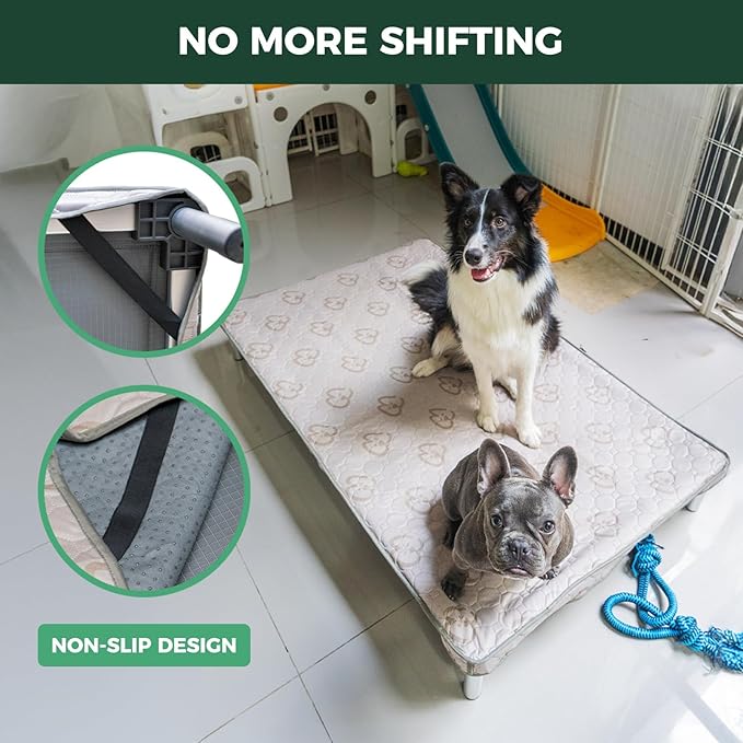 FXW TitanNest Chew-Proof Elevated Dog Bed, Raised Cot for Indoor/Outdoor/Camping Use, Durable &amp; Washable Padded Pet Bed with Exclusive Reuseable Cover for Small Dogs, 36.0" L x 24.0" W x 4.5" H, Gray