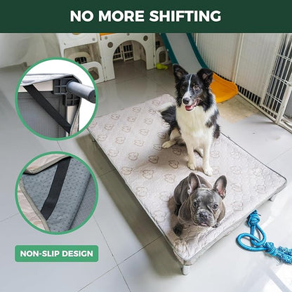 FXW TitanNest Chew-Proof Elevated Dog Bed, Raised Cot for Indoor/Outdoor/Camping Use, Durable &amp; Waterproof Cooling Pet Bed with Exclusive Cover for Extra Large Dogs, 56.0" L x 31.0" W x 7.3" H, Black
