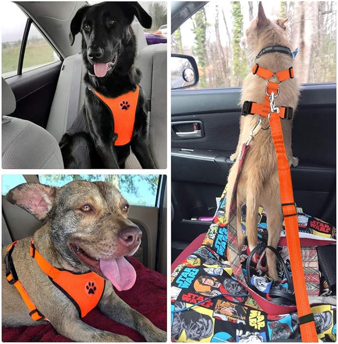 Lukovee Dog Seat Belt for Car, Adjustable Dog Car Harness for Large Medium Small Dogs, Soft Padded &amp; Breathable Mesh Dog Seatbelt with Car Vehicle Connector Strap (Orange,Large)