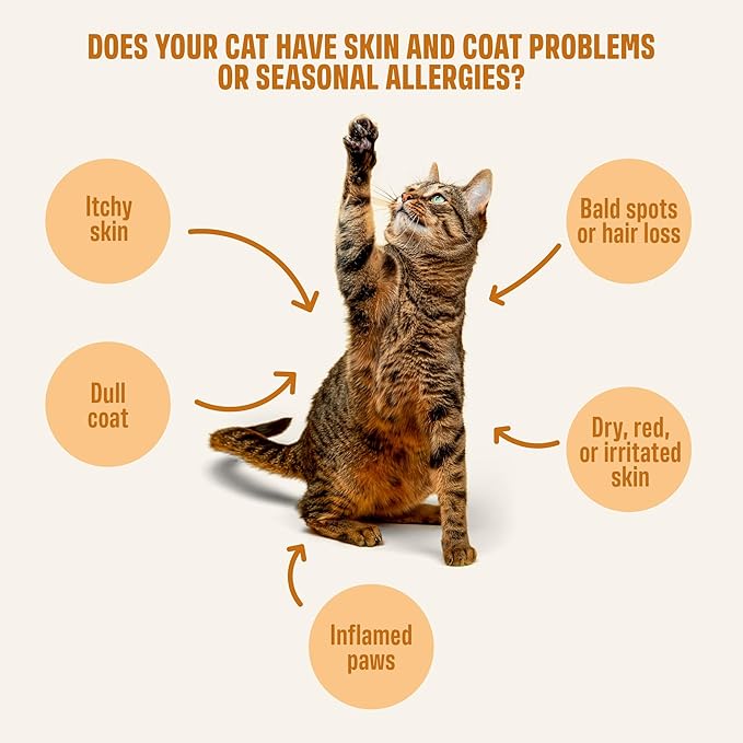 ivvi Skin &amp; Coat for Cats – Functional Creamy Snack with Salmon Oil, Algae Oil, Zinc, Collagen &amp; Biotin – Supports Skin and Fur Health – 30 x 0.53 oz Sachets – with Real Tuna