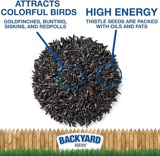 CountryMax Thistle Wild Bird Seed 40 lb – Premium Quality, 100% Clean, No Debris – Attracts Finches &amp; Small Songbirds