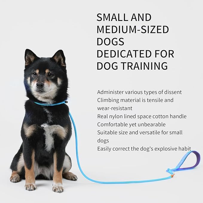 Dog Anti-Slip Leash 5FT with Metal Stopper - Durable No-Pull Training Lead for Small, Medium &amp; Large Dogs - Comfortable Handle Nylon Rope, Tangle-Free Pet Walking Leash (Lake Blue, 5.6FT)
