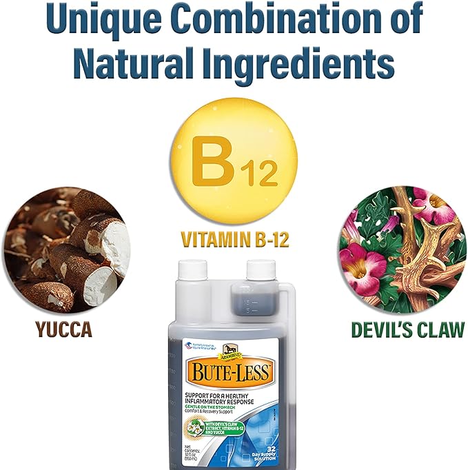 Absorbine Bute-Less Long-Term Horse Comfort &amp; Recovery Supplement Solution, Gentle on Stomach, Devil&