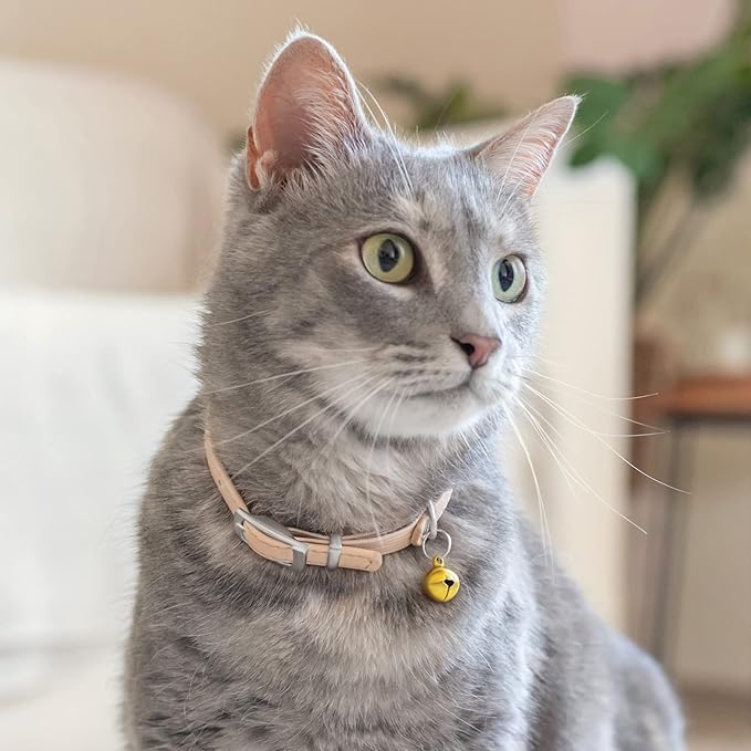 CollarDirect Leather Cat Collar with Bell - Kitten Small and Big Cat Collar for Boy Cats, Girl Cats with Safety Elastic Strap (Neck Fit 6"-7", Beige)