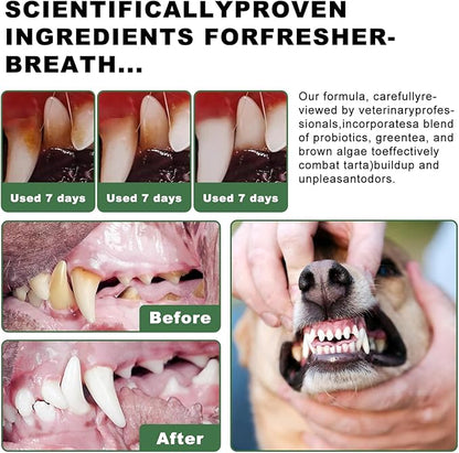Dog Dental Powder, 6 oz, Dog Teeth Cleaning Powder &amp; Cat Breath Freshener, Plaque Off Pet Tooth Cleaning - Combating Dental Plaque, Tartar Cleaning and Removal, Fighting Bad Breath, Oral Care