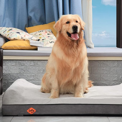 Laifug Orthopedic Memory Foam Dog Bed Extra Large Dog Bed with Pillow and Durable Water Proof Liner &amp; Removable Washable Cover &amp; Smart Design(Dark Grey)