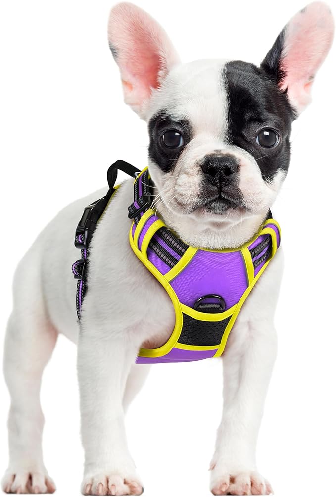 rabbitgoo Dog Harness No Pull with 2 Leash Clips, Adjustable Soft Padded, Reflective Oxford No Choke Pet Vest with Easy Control Handle for Small Dogs, Purple &amp; Yellow, S