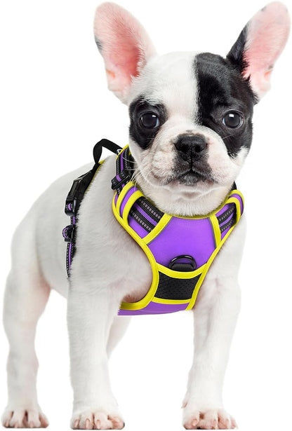 rabbitgoo Dog Harness No Pull with 2 Leash Clips, Adjustable Soft Padded, Reflective Oxford No Choke Pet Vest with Easy Control Handle for Small Dogs, Purple &amp; Yellow, S