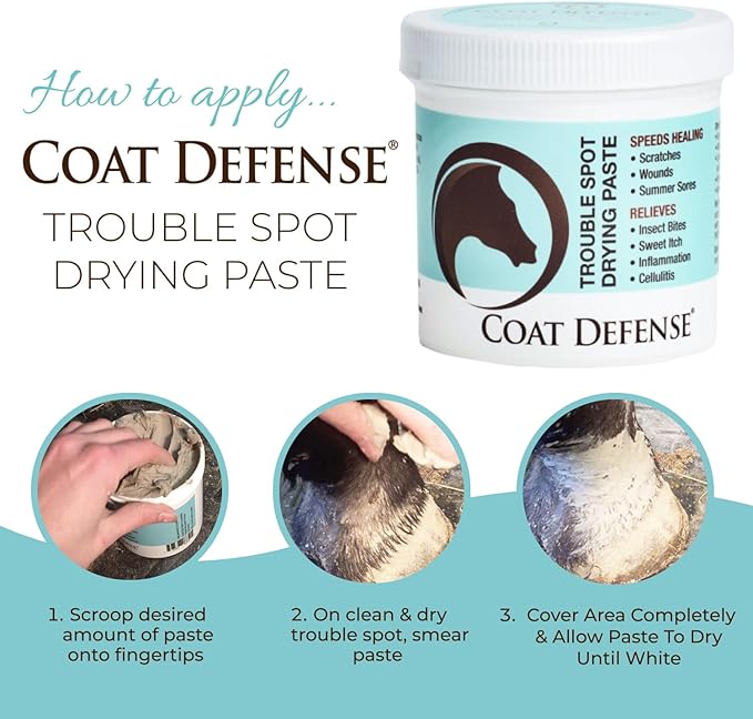COAT DEFENSE Trouble Spot Drying Paste for Horses - Natural Equine Wound Care That Provides Safe &amp; Effective Relief from Scratches, Sweet Itch, Summer Sores, Proud Flesh, Mud Fever, Girth Rot (10 Oz)
