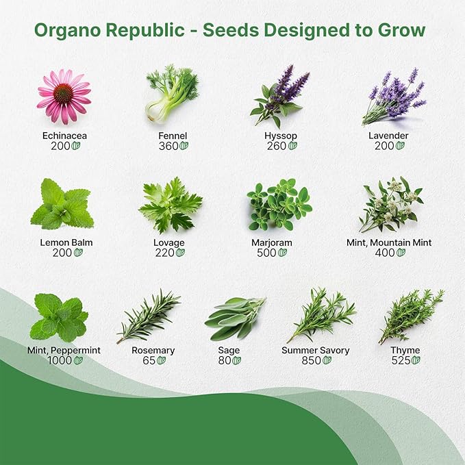Organo Republic 25 Medicinal &amp; Tea Herb Seeds Variety Pack for Indoor &amp; Outdoors. 10900+ Non-GMO Heirloom Garden Seeds: Anise, Borage, Cilantro, Chamomile, Dandelion, Rosemary, Peppermint Seeds