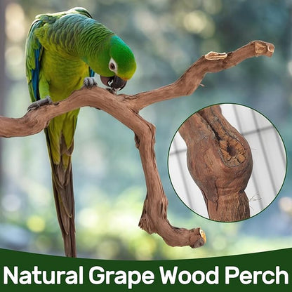 4-Piece Bird Perch Set with Rotating Ball Stand - Natural Wood Bird Gym &amp; Playground for Parrots, Cockatiels, Budgies