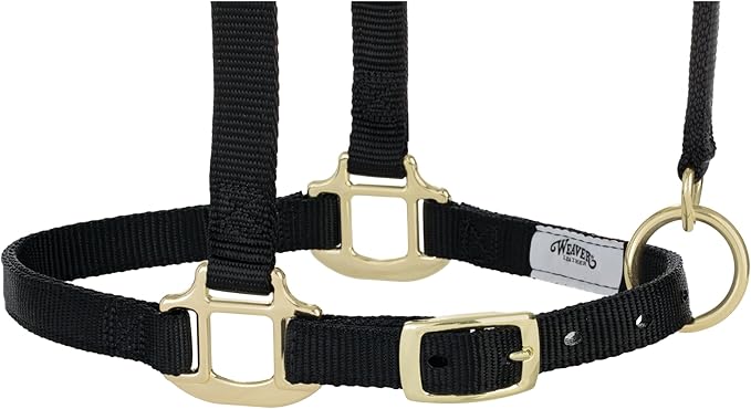 Weaver Equine Breakaway Horse Halter, Supple Leather Crown, Adjustable Chin &amp; Throat Snap Halters for Horses, Equine Tack,Pony Size, Black