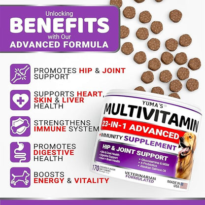 2-Pack Dog Multivitamin Chewable with Glucosamine - Dog Vitamins and Supplements - Senior &amp; Puppy Multivitamin for Dogs - Hip &amp; Joint Support - Immune Health, Skin, Heart, Digestion, Probiotics