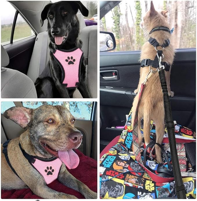 SlowTon Dog Seat Belt Harness for Car, Dog Car Harness Adjustable Mesh Breathable &amp; Dog Seatbelt Safety Tether with Elastic Bungee for Small Medium Large Pets(Pink, Single Clip, S)