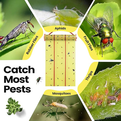 Qualirey Giant Sticky Fly Traps,30 Feet Fly Strips for Indoor Outdoor Hanging Flying Tapes Non Toxic Ribbon Fruit Gnat Killer for Mosquito Plants House Horse Stable (Fluorescent Green,5 Pcs)