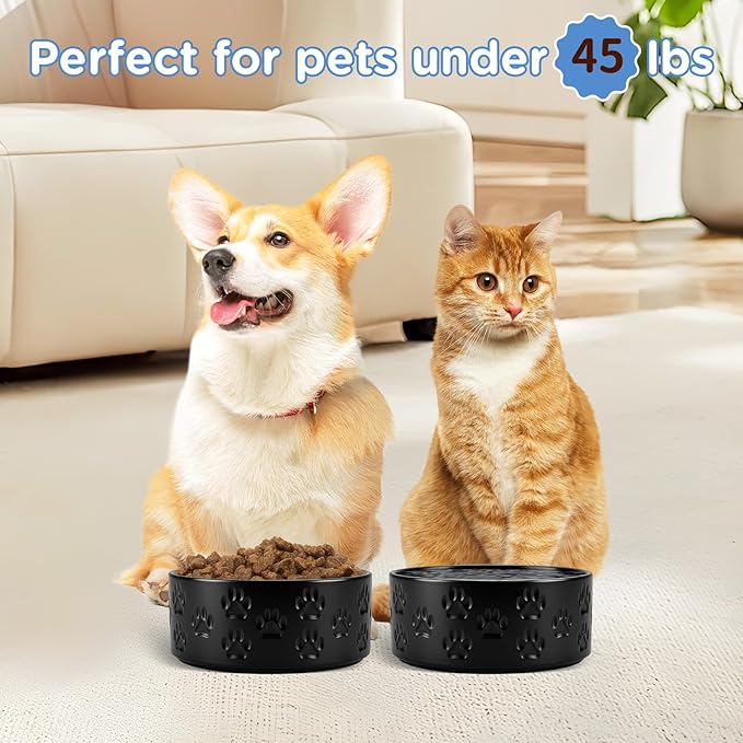 SPUNKYJUNKY Ceramic Dog and Cat Bowls 2 Pack, 6.1&