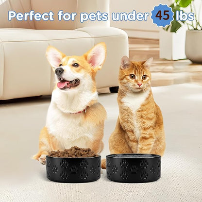 SPUNKYJUNKY Ceramic Dog and Cat Bowls 2 Pack, 6.1&