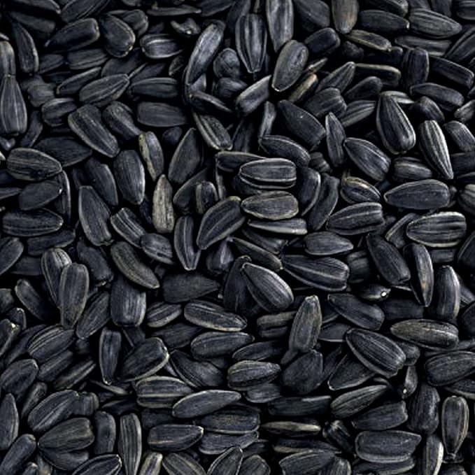Nyjer Seed &amp; Sunflower Seeds Wild Bird Food Combo - 5 Pound Pack I No Grow Seed I Bird Food for Wild Birds