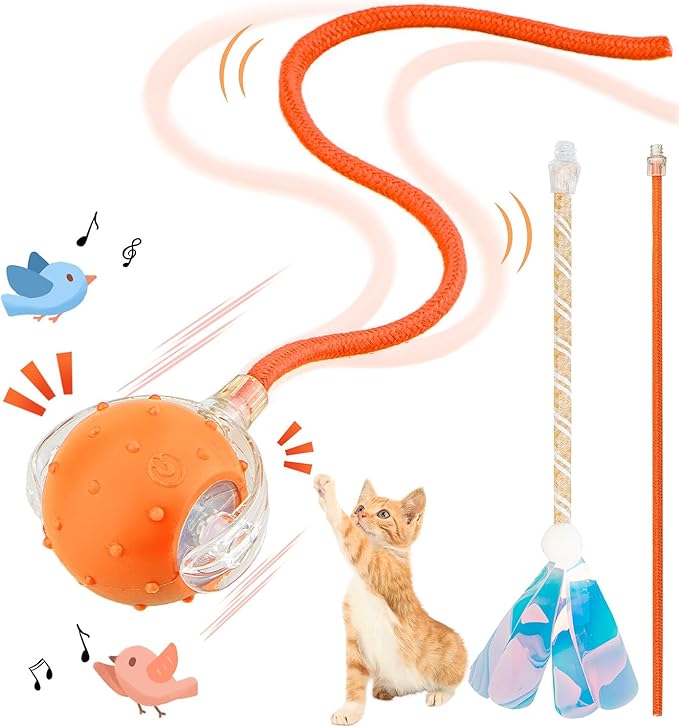 Interactive Cat Toys Ball for Indoor Cats, Automatic Agile Rolling Cat Ball with Elastic Mesh Tail, Bird Chirping &amp; Motion Activated, 2 Tail Accessories, Kitten Toy for Bored (Orange)