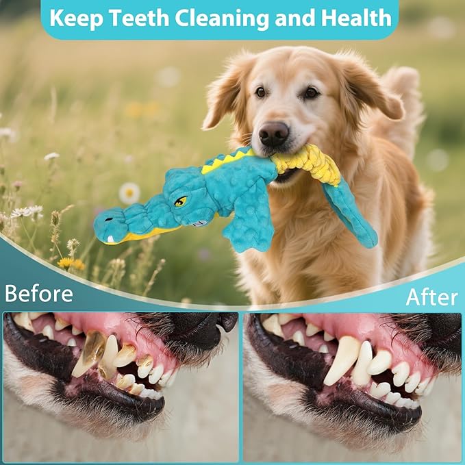 Dog Toys Cute Alligator Dog Toy Tough Plush Puppy Toy for Playtime, Training &amp; Tug of War- Interactive Squeaky &amp; Crinkle Chew Toy for Small to Large Dogs
