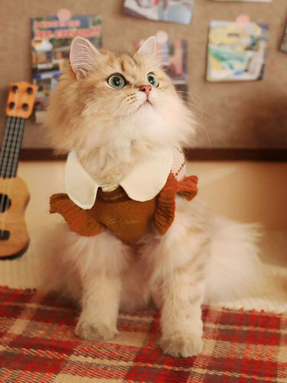 Argyle Pattern Pet Sweater
