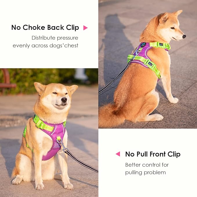 PHOEPET No Pull Dog Harness, Unique Colors Reflective Adjustable Dog Vest, with Soft Training Handle Metal Clips for Small Medium Large Dogs (Purple Base &amp; Green Straps,XS)