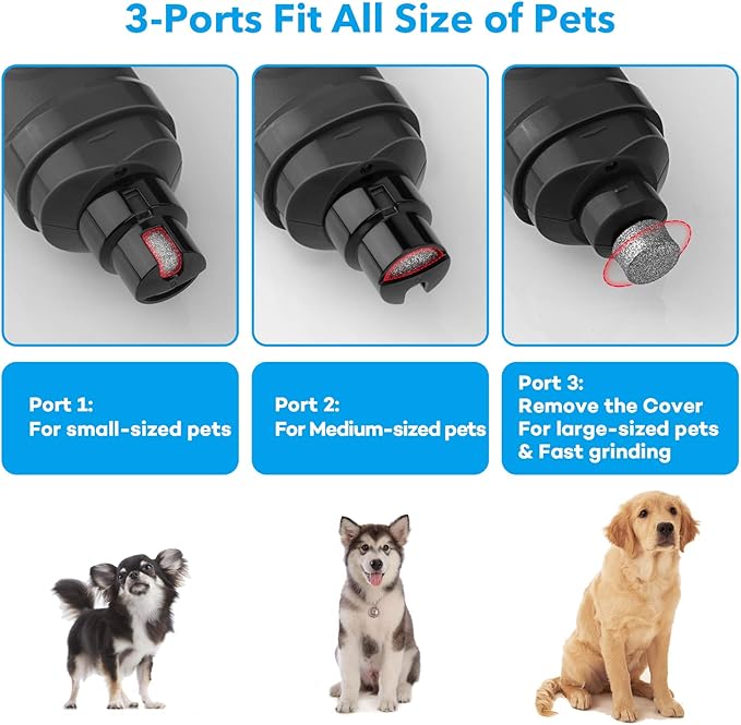 Casfuy Dog Nail Grinder with 2 LED Light - New Version 2-Speed Powerful Electric Pet Nail Trimmer Professional Quiet Painless Paws Grooming &amp; Smoothing for Small Medium Large Dogs and Cats (Grey)