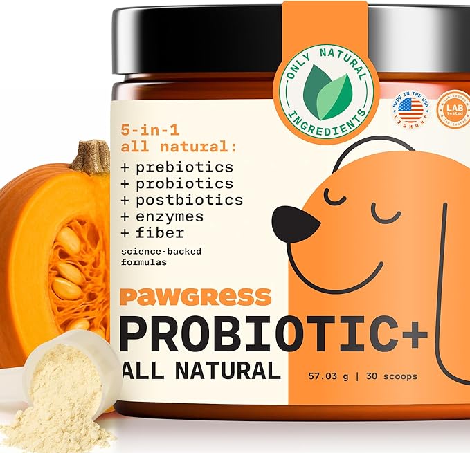 5-in-1 Dog Probiotic Powder – 100% Natural Gut Health Support with Prebiotics, Postbiotics &amp; Enzymes – Crafted by Dog Nutritionist Kayla Kowalski, Made in USA – 30 Scoops