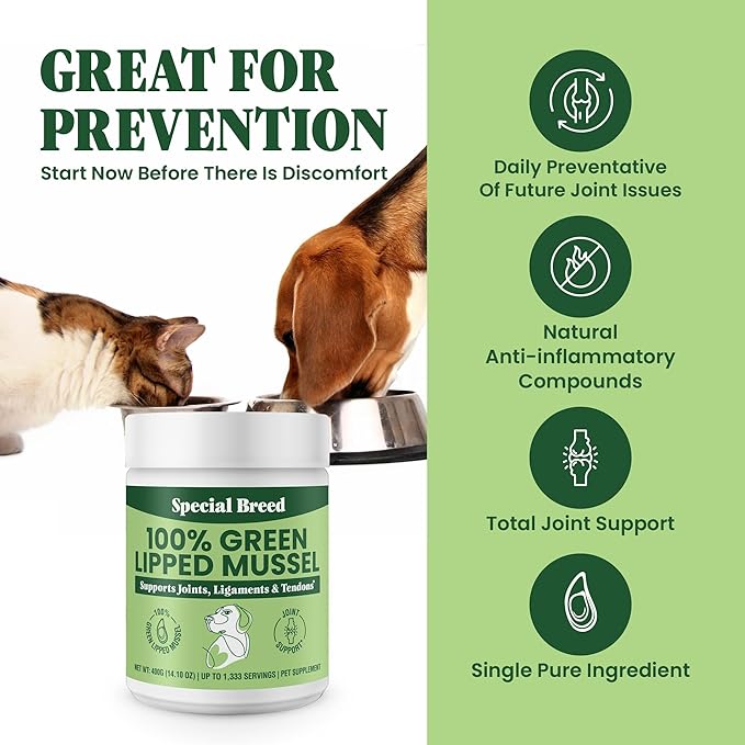 Special Breed Green Lipped Mussel Powder for Dogs &amp; Cats - 100% New Zealand Green Lipped Mussels - Natural Hip &amp; Joint Supplement for Joints, Tendons, Ligaments, Muscles - 400 Grams - 1,333 Servings