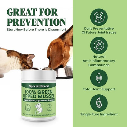 Special Breed Green Lipped Mussel Powder for Dogs &amp; Cats - 100% New Zealand Green Lipped Mussels - Natural Hip &amp; Joint Supplement for Joints, Tendons, Ligaments, Muscles - 400 Grams - 1,333 Servings