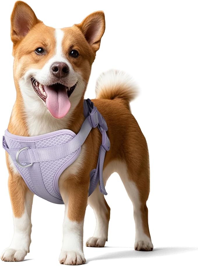 Wisedog Mesh Breathable Dog Harness: No Pull Harness with 3 Fast-Release Buckles Adjustable for Walking &amp; Training for Small Medium Large Dogs (Lilac, L: Neck=20"-25"/Chest=17"-33")