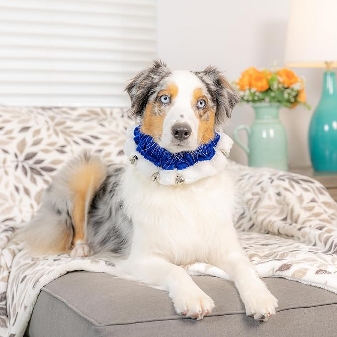Huxley &amp; Kent Ruff Pet Scrunchy | Hanukkah (Medium) | Festive Christmas/Holiday Neckwear for Dogs/Cats | Fun Stretchable Costume Accessory | Soft Collar with Bells