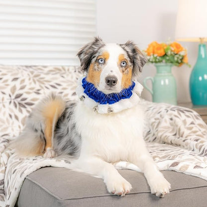Huxley &amp; Kent Ruff Pet Scrunchy | Hanukkah (Medium) | Festive Christmas/Holiday Neckwear for Dogs/Cats | Fun Stretchable Costume Accessory | Soft Collar with Bells