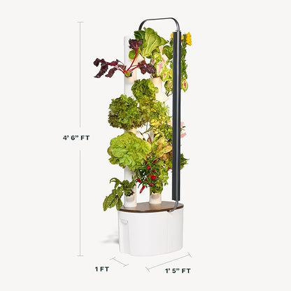 Gardyn Studio Hydroponics Growing System Kit &amp; Vertical Indoor Garden Planter | Smart Herb Garden | Includes 16 Non-GMO Indoor Plants, Herbs, Vegetables &amp; LED Grow Light for Your Home Gardening System