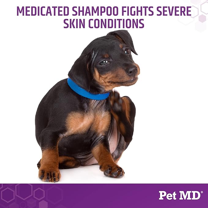 Pet MD Micoseb-CX Topical Shampoo for Dogs, Cats, &amp; Horses with Miconazole - 12 oz