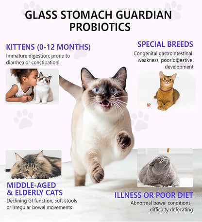 Cat Constipation Relief, Constipation Relief for Cat, Cat Laxative Constipation Relief, 100% Natural Cat Laxative with Probiotics Cat Stool Softener, Promotes Digestive Health - 2 fl oz