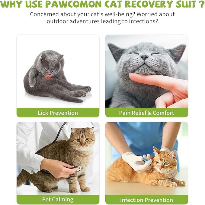 2 Packs Cat Surgery Recovery Suit Surgical Clothes Abdominal Wounds Anti-Licking Cat Bodysuit Onesie Substitute E-Collar&amp; Cone