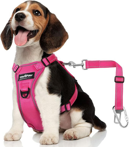 Dog Seat Belt Harness for Car, Dog Car Harness Adjustable Mesh Breathable &amp; Dog Seatbelt Safety Tether with Elastic Bungee for Small Medium Large Pets(Rose, M)