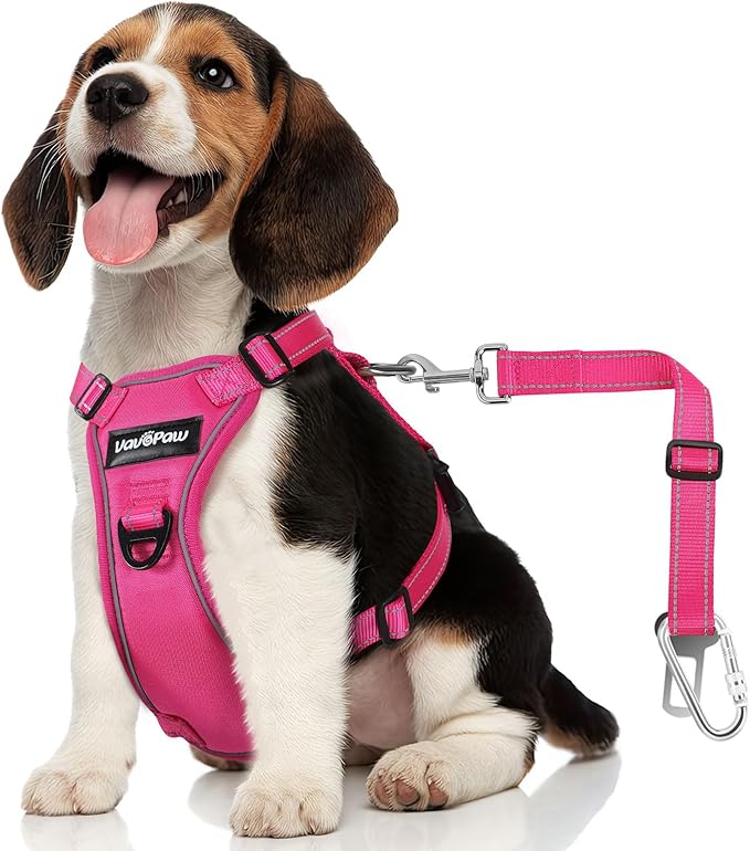 Dog Seat Belt Harness for Car, Dog Car Harness Adjustable Mesh Breathable &amp; Dogs Seatbelt Safety Tether with Elastic Bungee for Small Medium Large Pets(Rose, S)