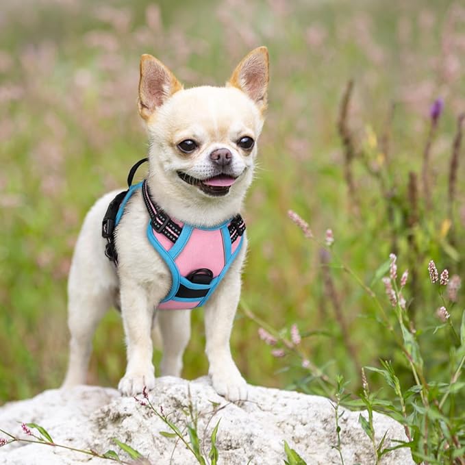 rabbitgoo Dog Harness No Pull with 2 Leash Clips, Adjustable Soft Padded, Reflective Oxford No Choke Pet Vest with Easy Control Handle for Puppy, Pink &amp; Blue, XS