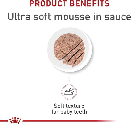 Royal Canin Feline Health Nutrition Mother &amp; Babycat Ultra Soft Mousse in Sauce Canned Cat Food, 3 oz can (12-count)