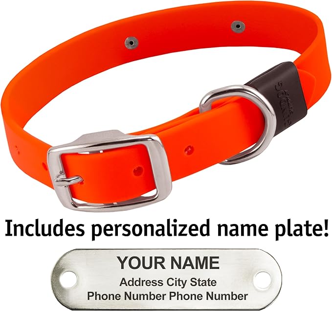 Biothane Custom Dog Collar – Waterproof, Stink-Proof Personalized Collar with Name &amp; Phone Number – Durable, Many Sizes and Colors – Assembled in USA (Hunter Orange)