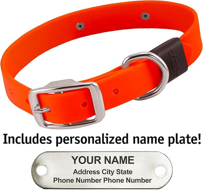Biothane Custom Dog Collar – Waterproof, Stink-Proof Personalized Collar with Name &amp; Phone Number – Durable, Many Sizes and Colors – Assembled in USA (Hunter Orange)