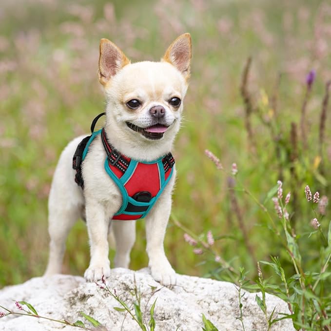 rabbitgoo Dog Harness No Pull with 2 Leash Clips, Adjustable Soft Padded, Reflective Oxford No Choke Pet Vest with Easy Control Handle for Puppy, Red &amp; Teal, XS
