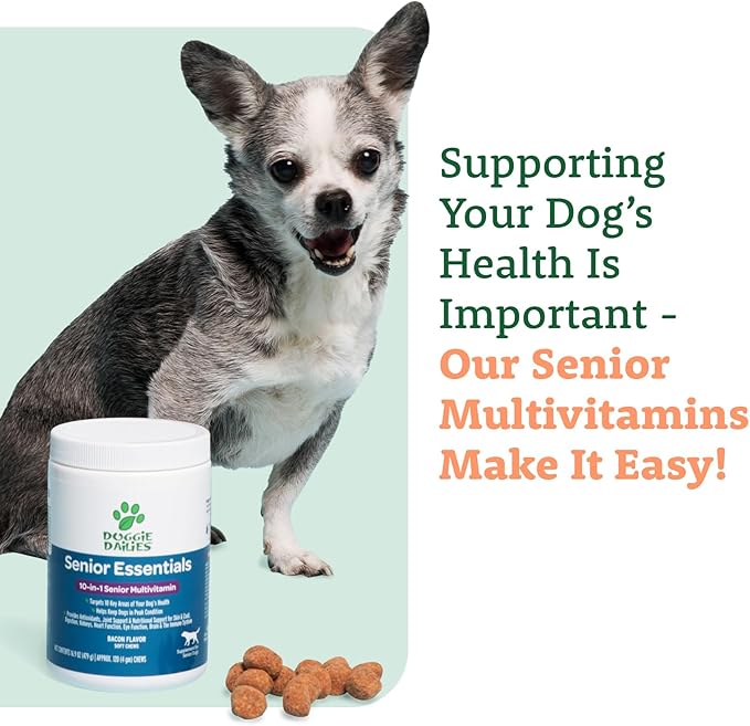 Doggie Dailies Senior Essentials Multivitamin for Dogs Soft Chews | Advanced Dog Multivitamin | Nutritional Support for Joints, Skin &amp; Coat, Digestion, and the Immune System | Bacon Flavor | 120 Count