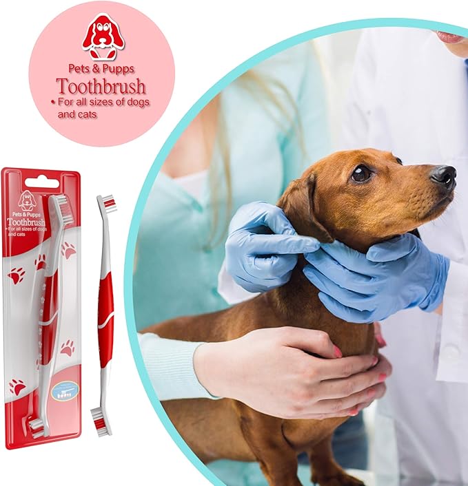 Pet Toothbrush for Dogs, Cats with Soft Bristles - Easy Teeth Cleaning &amp; Dental Care, Non Slip Dual Head Dog Toothbrush for Medium &amp; Large Pets, Toothpaste Not Included, Pack of 4(Multi)
