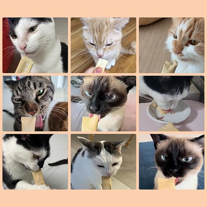 Dr.by Cat Colostrum Protein Cat Supplement Immune Support Muscle Growth, Gentle on Digestion for Kittens, Adult&amp;Senior Cats with Goat Milk, Whey Protein Isolate, Colostrum Lickable Formula