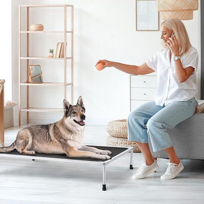 Veehoo Chewproof Elevated Dog Bed - Cooling Raised Pet Cot, Breathable Mesh, Washable &amp; Non-Slip for Large Dogs, Indoor/Outdoor, Black Mat and Silver Metal Frame, 49x33inches (Model CWC2203B03)